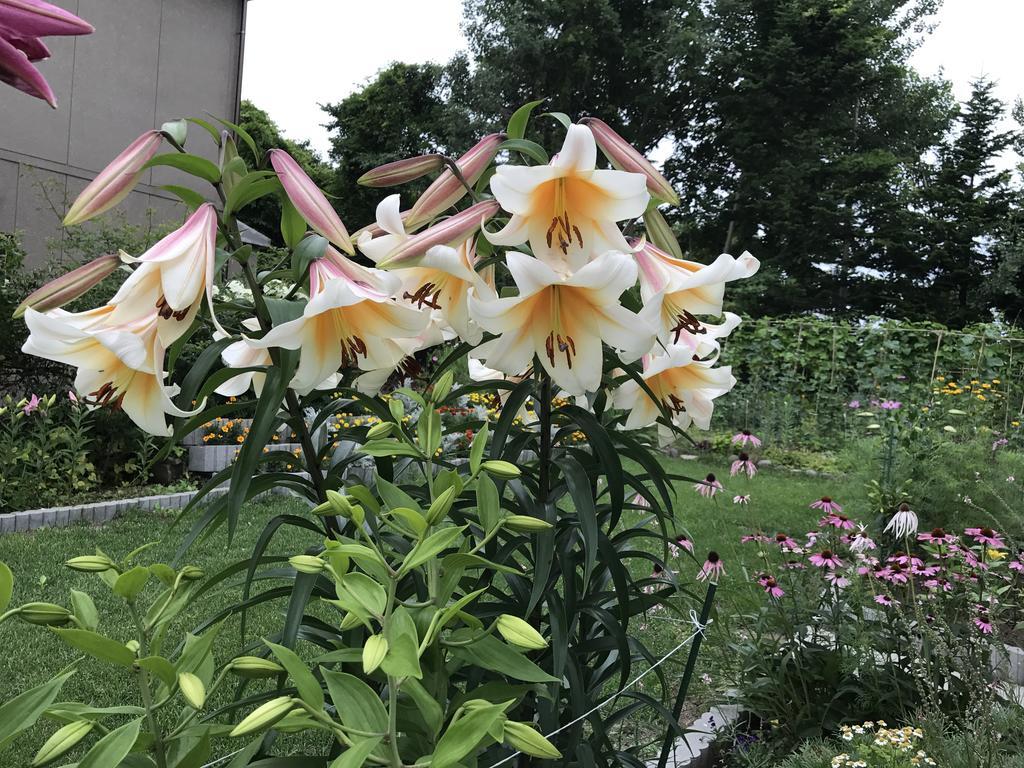 江花荘 ゲストハウス *