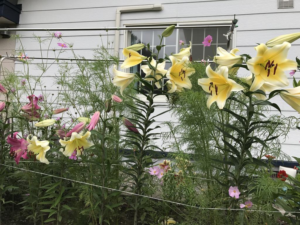 江花荘 ゲストハウス *